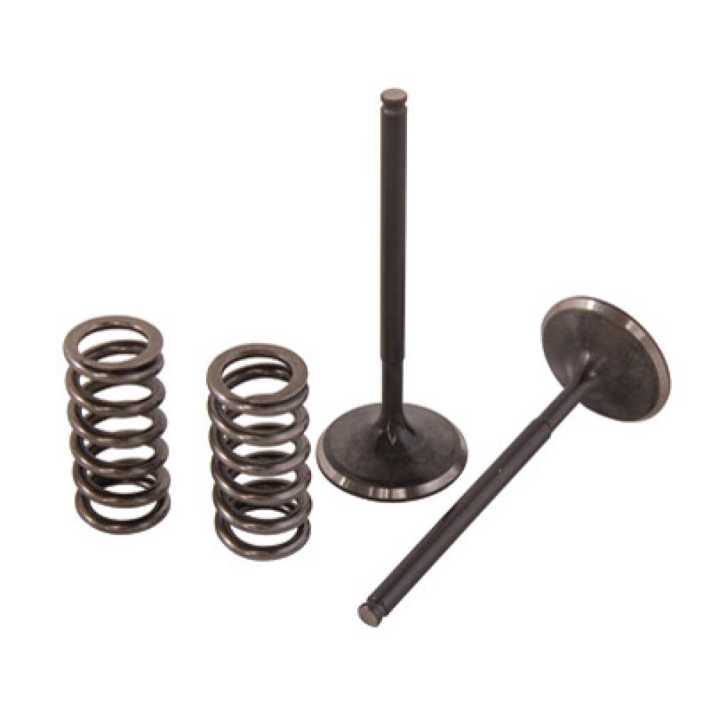 Pro X Steel Exhaust Valve/Spring Kit eBay